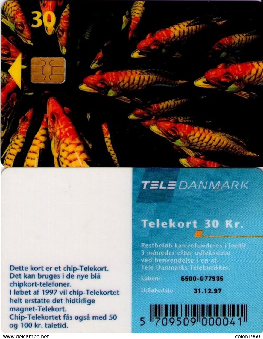 TARJETA TELEFONICA DE DINAMARCA. TDD004C, Fish; SN 6500 (077) - Danemark