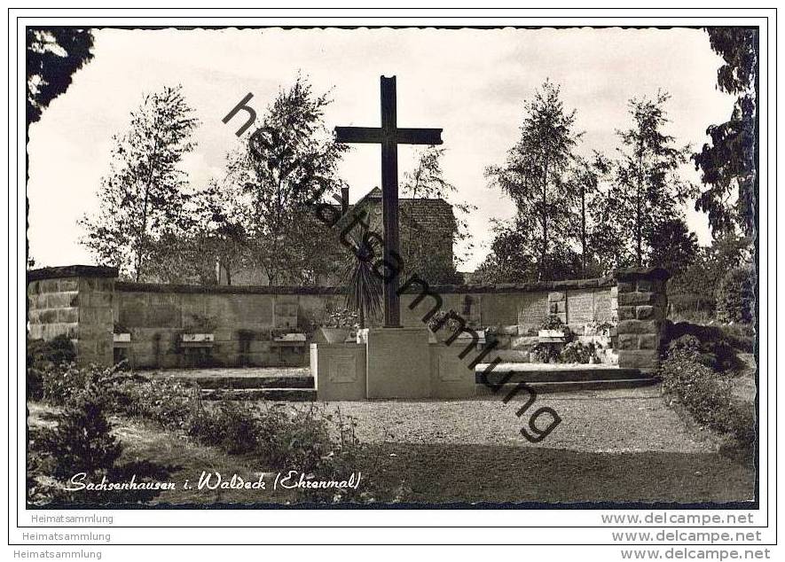 Waldeck - Sachsenhausen - Ehrenmal - Foto-AK - Waldeck