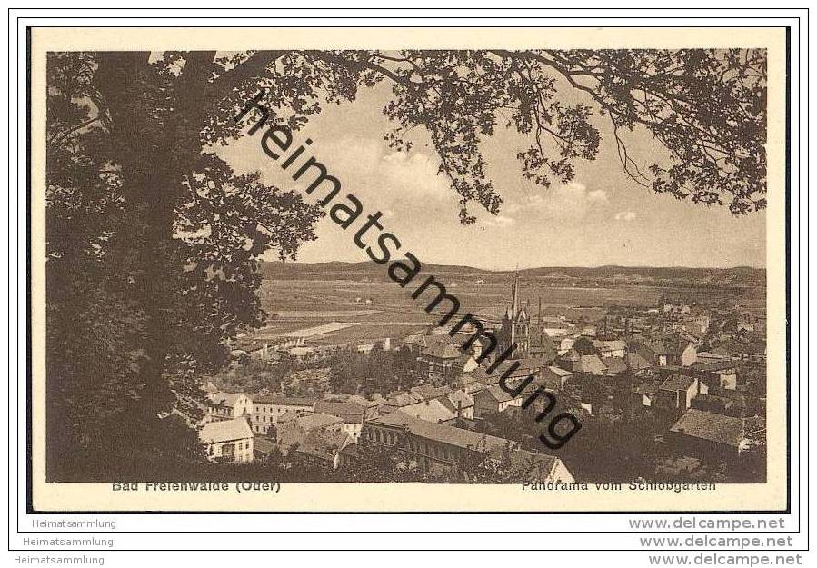 Bad Freienwalde - Panorama Vom Schlossgarten - Bad Freienwalde