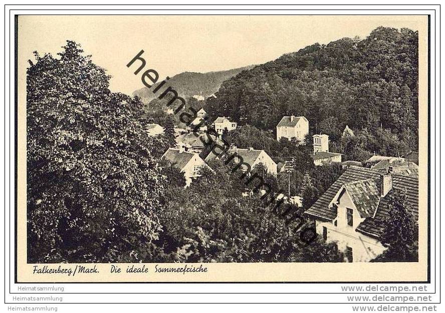 Falkenberg - Dächerpanorama - Falkenberg (Mark)