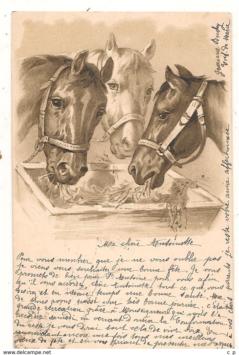 Animaux - Chevaux  - CPA° - Chevaux