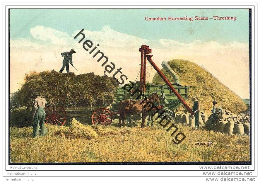 Canadian Harvesting - Threshing - Dreschmaschine - Landwirtschaft - Otros & Sin Clasificación