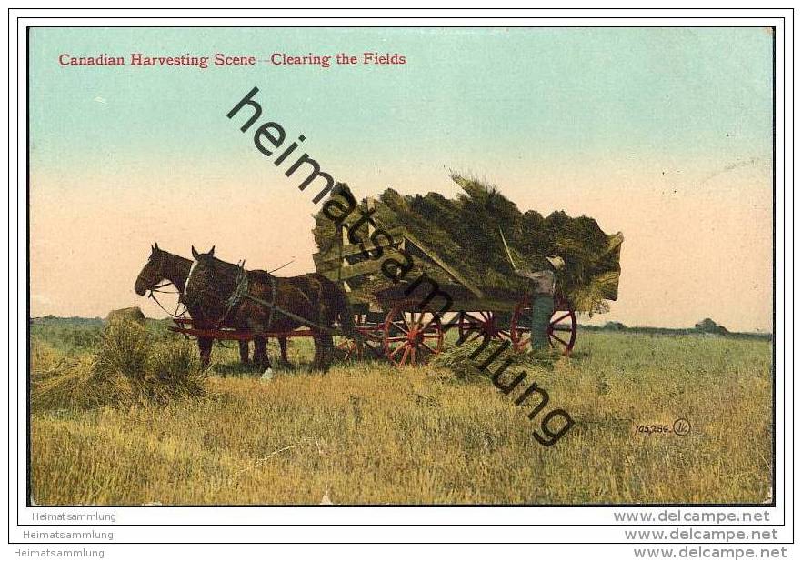 Canadian Harvesting - Clearing The Fields - Getreidegarben - Landwirtschaft - Otros & Sin Clasificación