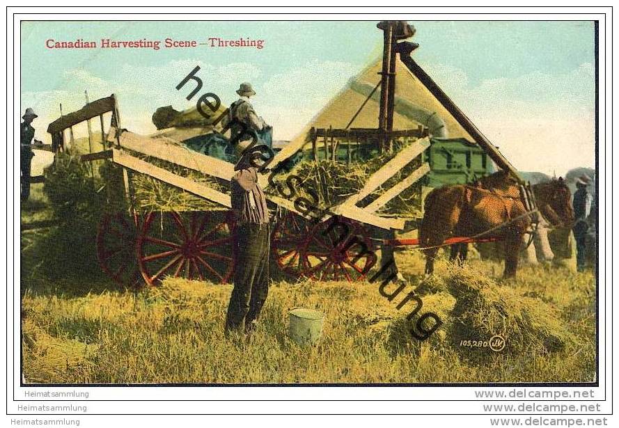 Canadian Harvesting - Threshing - Dreschmaschine - Landwirtschaft - Sonstige & Ohne Zuordnung