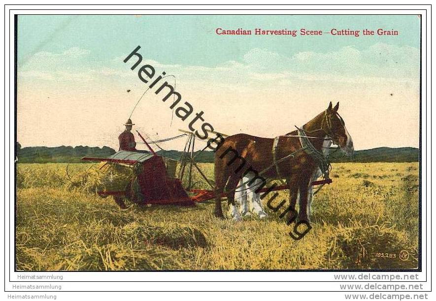 Canadian Harvesting - Cutting The Grain - Mähbinder - Landwirtschaft - Autres & Non Classés