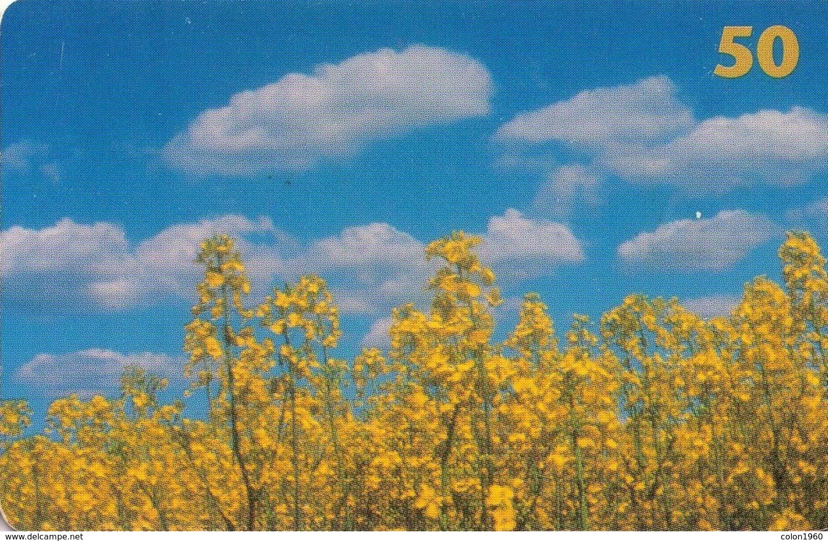 TARJETA TELEFONICA DE DINAMARCA. TDD032, Rape Field (024) - Dinamarca