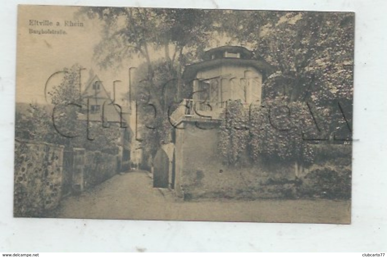 Eltville (Allemagne,Hesse) : Burghofstrasse En 1930 PF. - Eltville