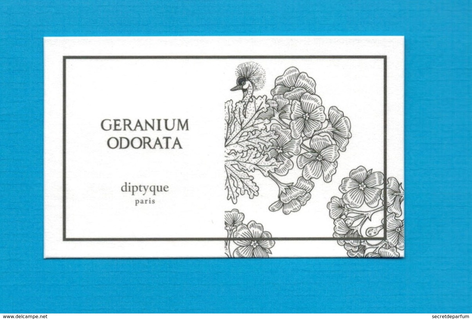 Cartes Parfumées   Carte GÉRANIUM ODORATA  De DIPTYQUE - Modernes (à Partir De 1961)