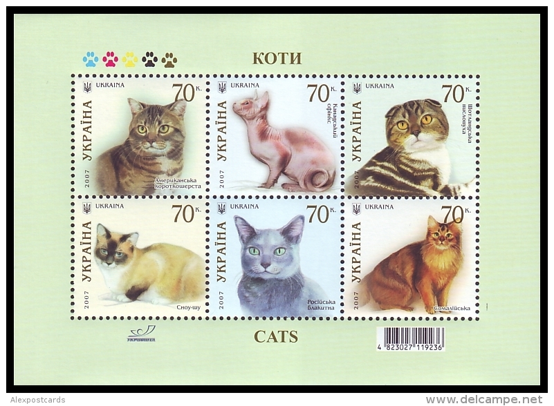 UKRAINE 2007. CATS. Mi-Nr. 871-76 Block 61. MNH (**) - Ukraine