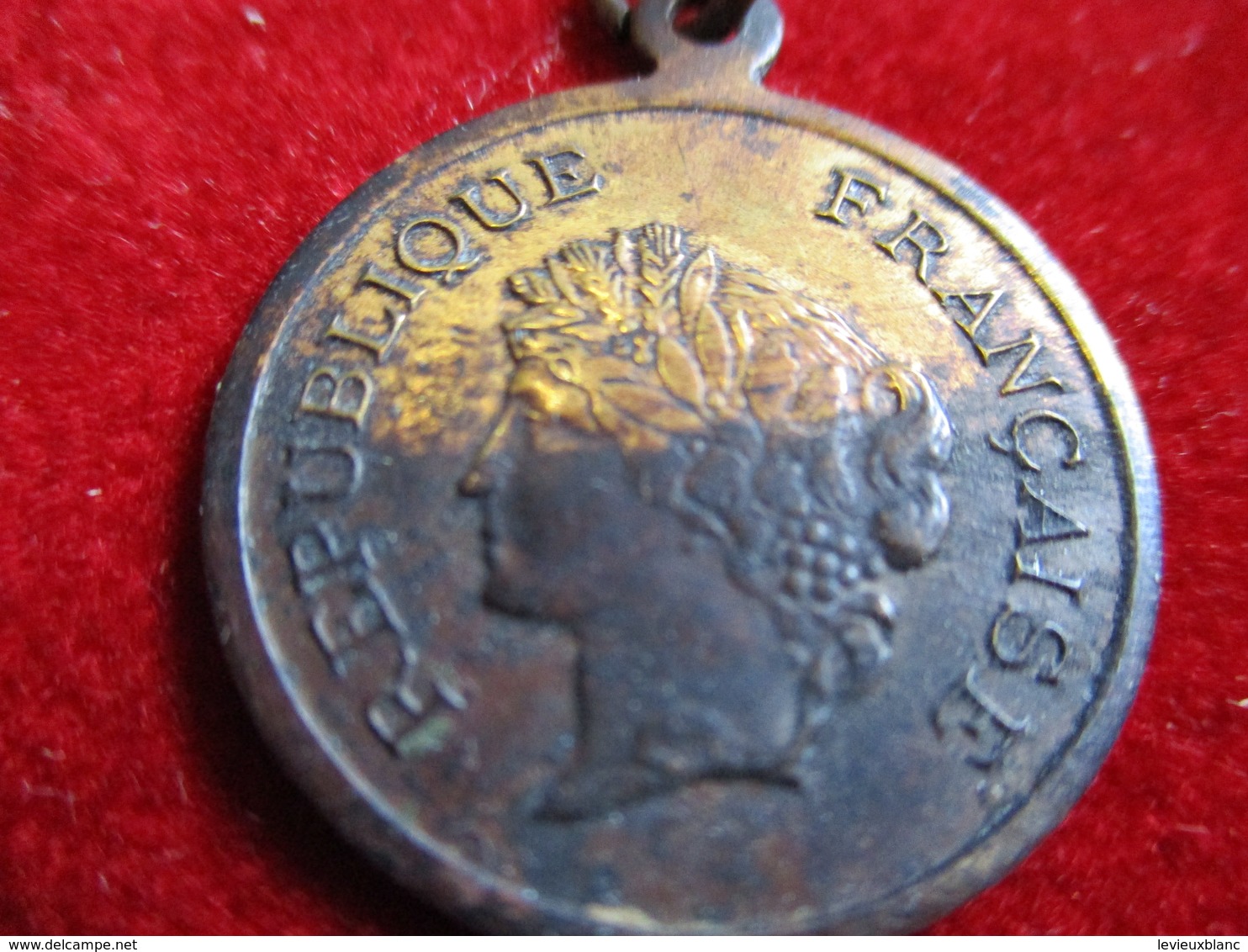 Médaille  à Chainette / Sport /  / République Française/ Bronze/ Non Attribuée/ Vers 1870 - 1880       MED235 - Altri & Non Classificati