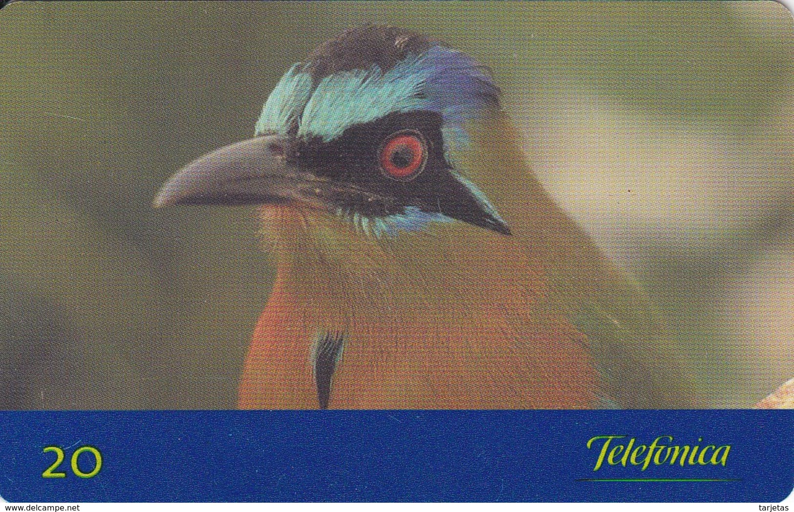 TARJETA DE BRASIL DE UN PAJARO JURUVA (BIRD-PAJARO) - Otros & Sin Clasificación