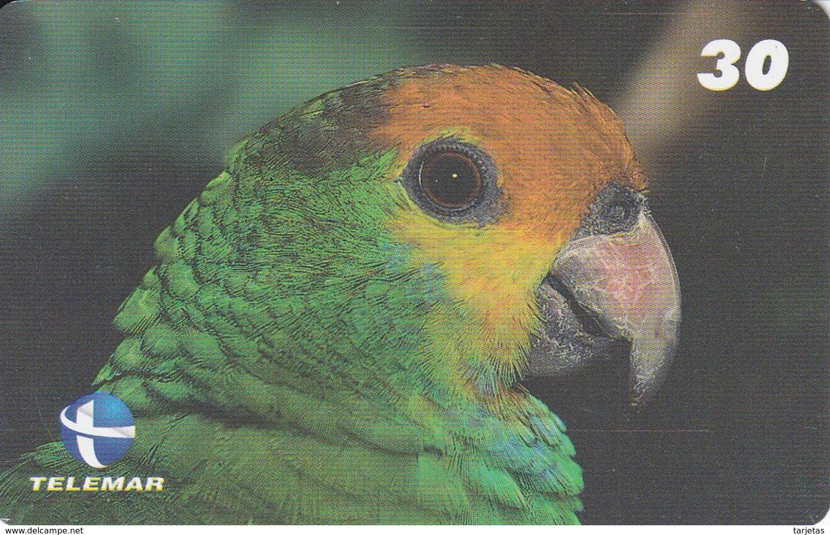 TARJETA DE BRASIL DE UN LORO (BIRD-PAJARO-PARROT) - Loros