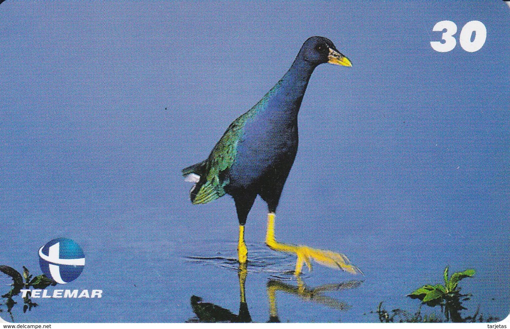 TARJETA DE BRASIL DE UN  PAJARO AZUL  (BIRD-PAJARO) - Brésil