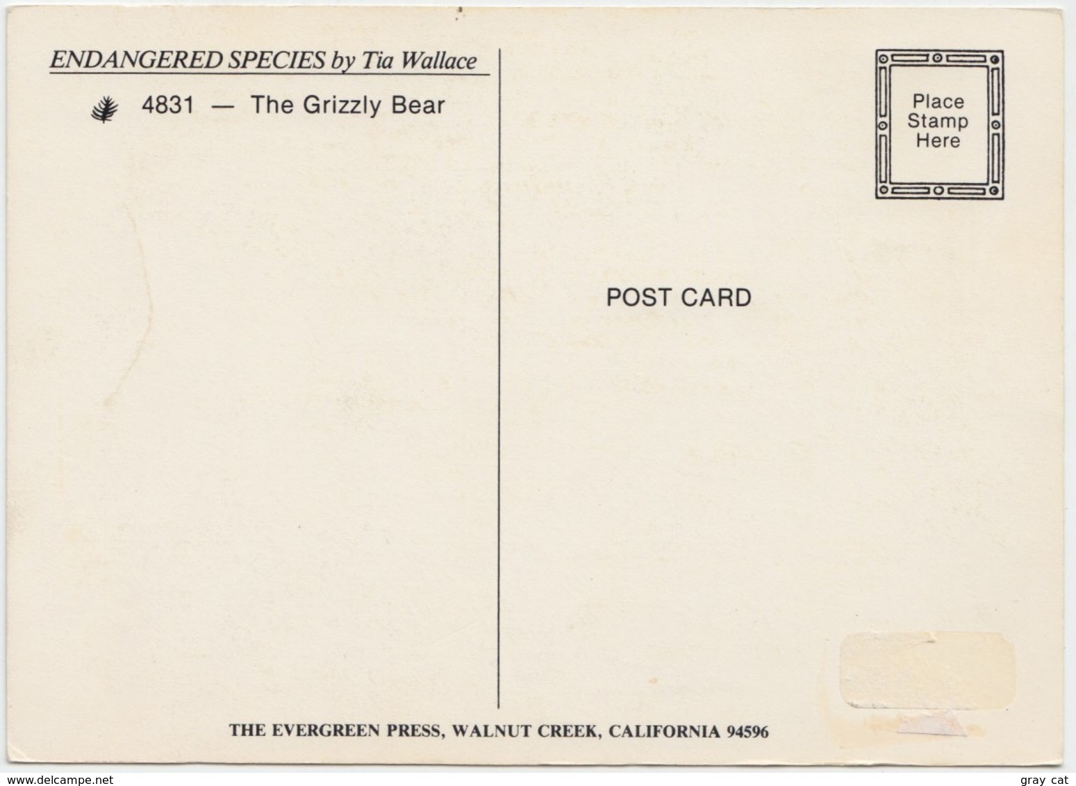 GRIZZLY, By Tia Wallace, Unused Postcard [21424] - Bears