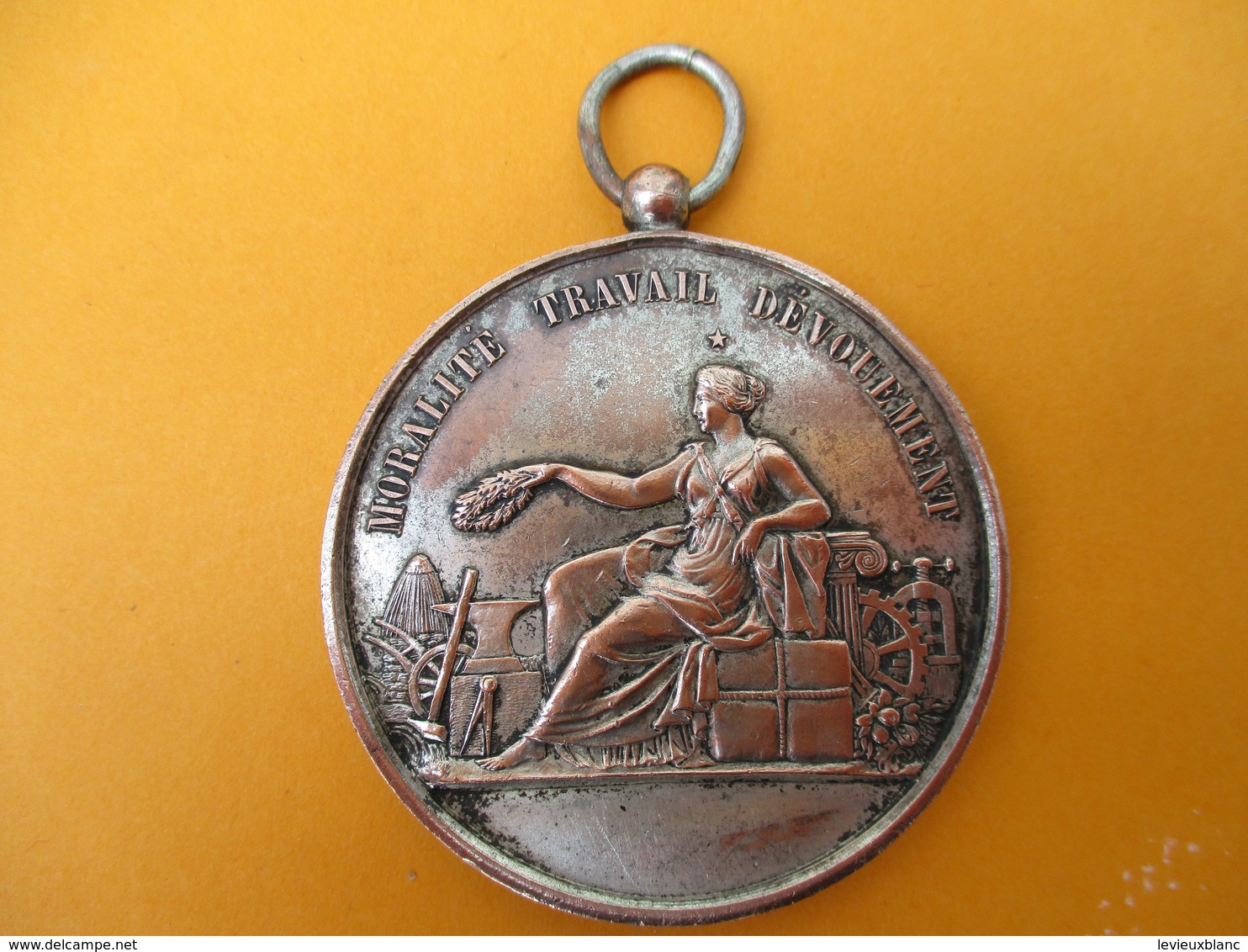 Grde Médaille à Ruban/Société Nationale D'Encouragement Au Bien/Moralité Travail Dévouement/Bronze/Vers1880-90  MED244 - Altri & Non Classificati