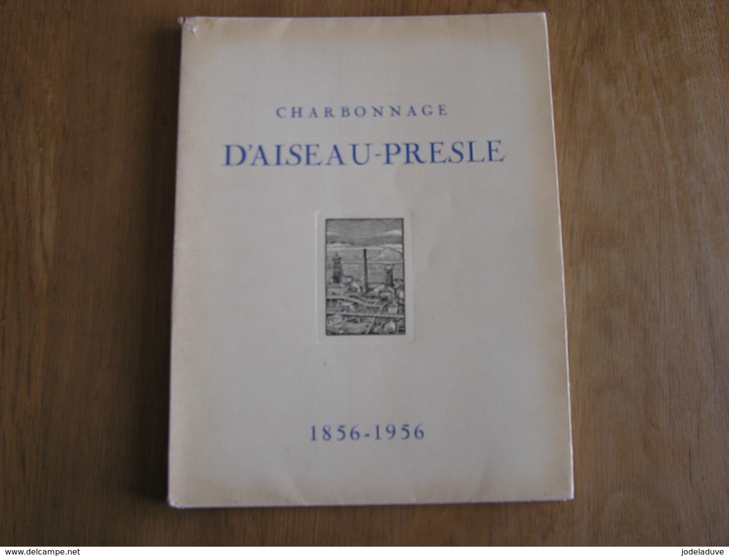 CHARBONNAGE D' AISEAU PRESLES à FARCIENNES Régionalisme Charbon Mine Roselies Tergnée Godinne Mariencourt Châtelineau - Belgique