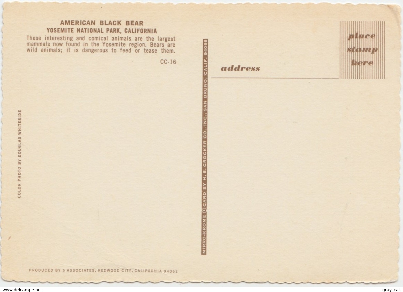 AMERICAN BLACK BEAR, Yosemite National Park, California, Unused Postcard [21443] - Bears