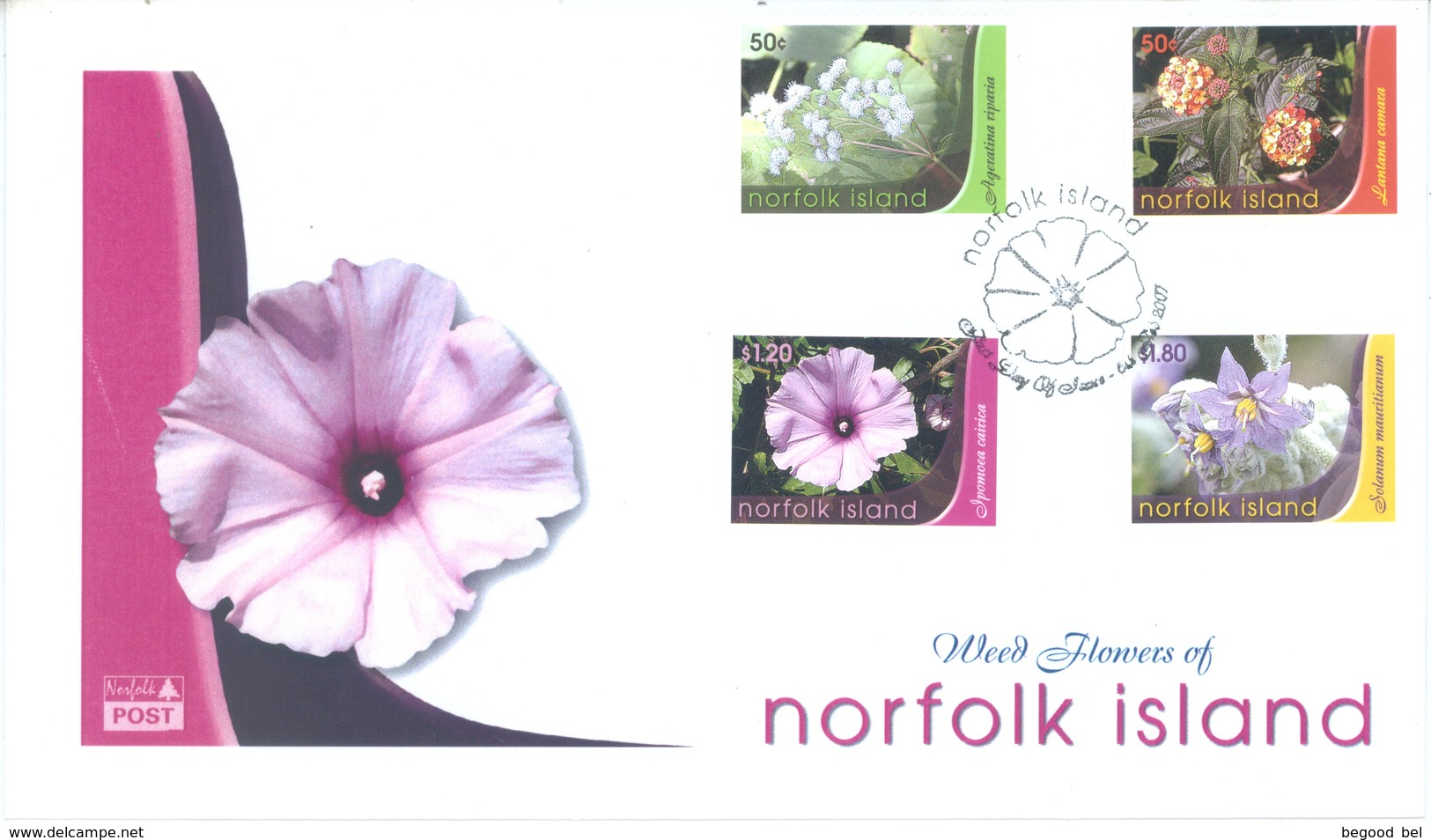 NORFOLK ISLAND - FDC - 2007 - FLOWERS  - Yv 915-918 - Lot 17561 - Ile Norfolk