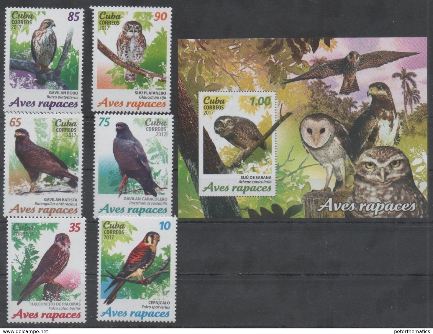 FAUNA, 2017, MNH, BIRDS, BIRDS OF PREY, OWLS, HAWKS, FALCONS, 6v+S/SHEET - Eagles & Birds Of Prey