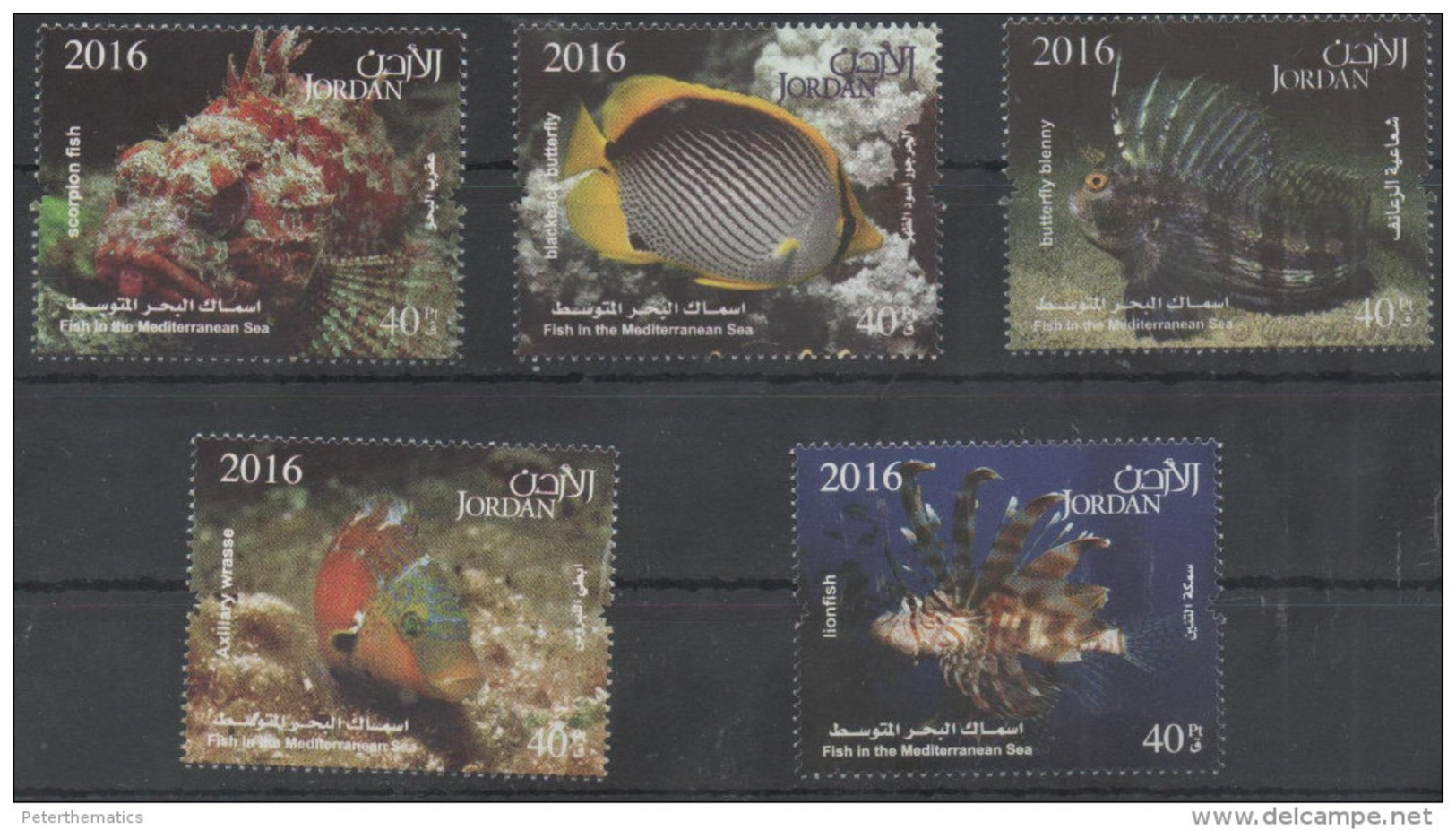 JORDAN,2016, MNH, FISH , FISH OF MEDITERRANEAN, LIONFISH, SCORPION FISH,5v - Poissons