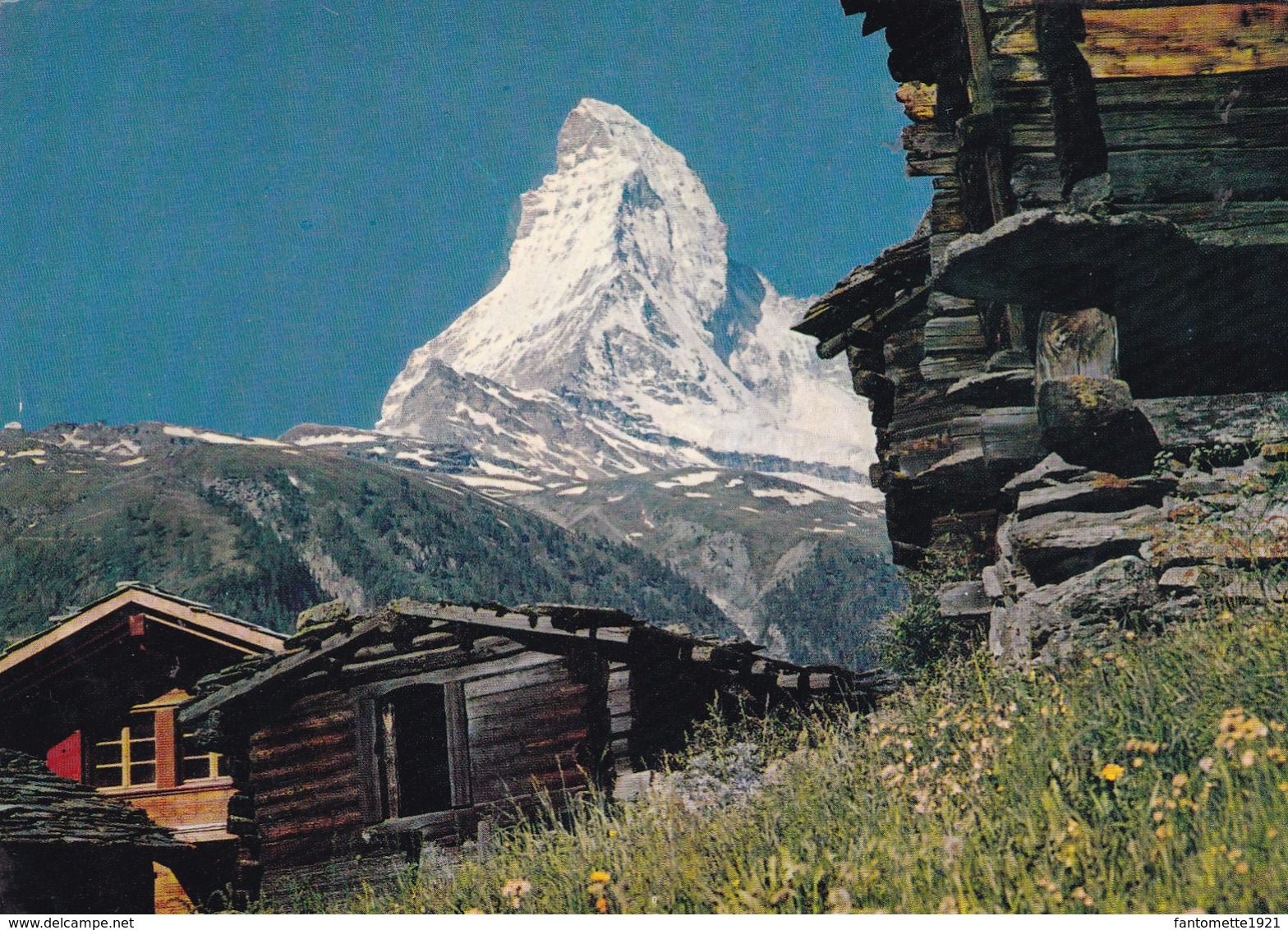 MATTERHORN (dil390) - Matt