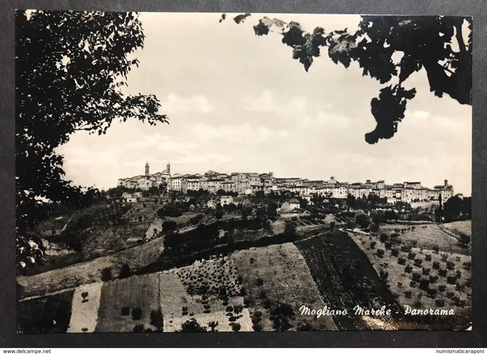 Mogliano Marche Macerata Viaggiata 1958 Cod.c.2051 - Macerata