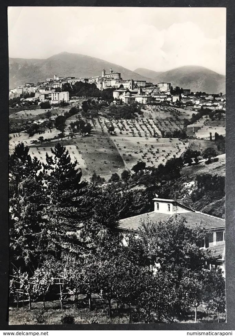 Camerino Marche Macerata Viaggiata 1965 Francobollo Asportato Cod.c.2052 - Macerata