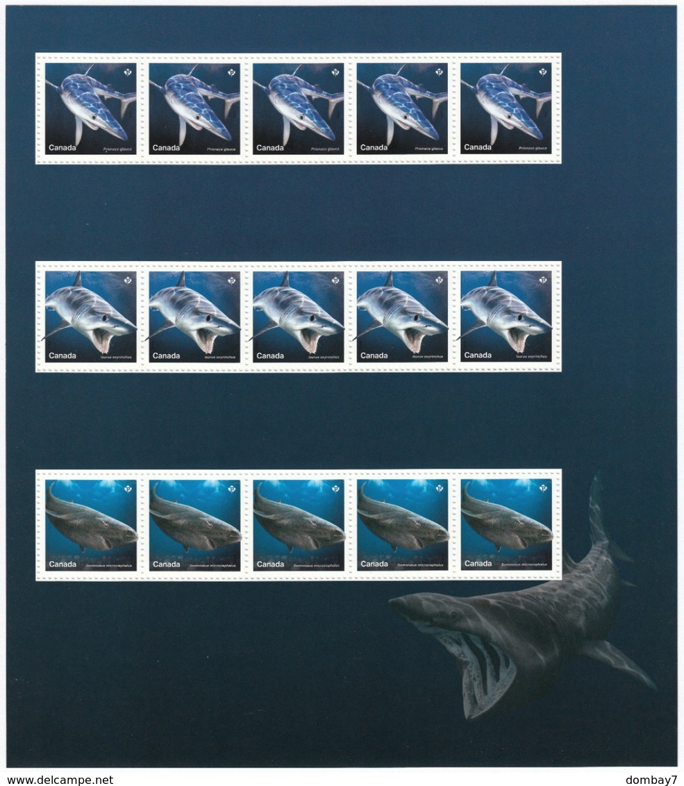 = SHARKS  = Hai = HAIFISCH = REQUIN = Tiburón = SQUALO =  2 LARGE CUTS From Uncut Sheet With All 5 Strips Canada 2018 - Vie Marine