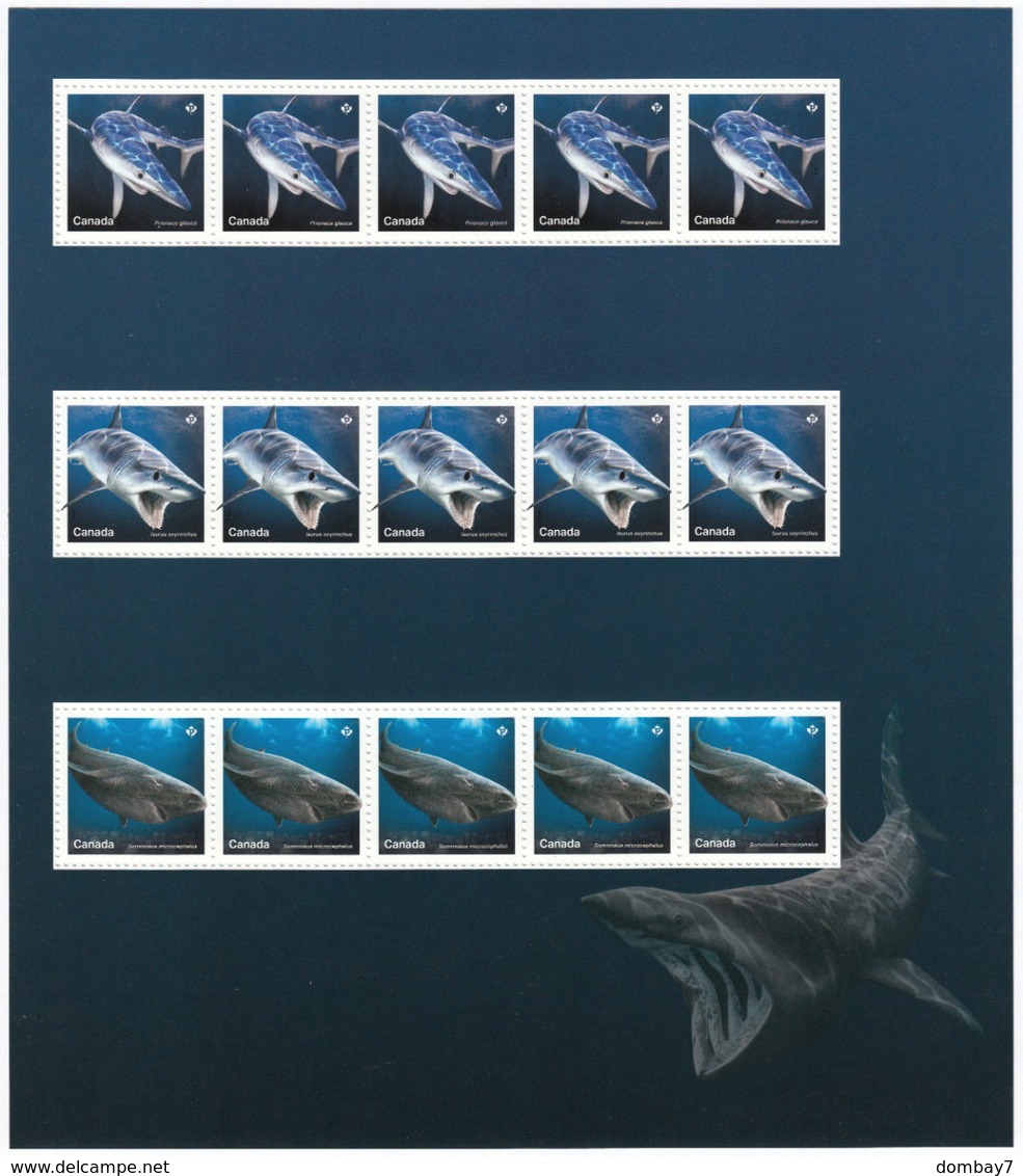 = SHARKS  = Hai = HAIFISCH = REQUIN = Tiburón = SQUALO =  2 LARGE CUTS From Uncut Sheet With All 5 Strips Canada 2018 - Marine Life