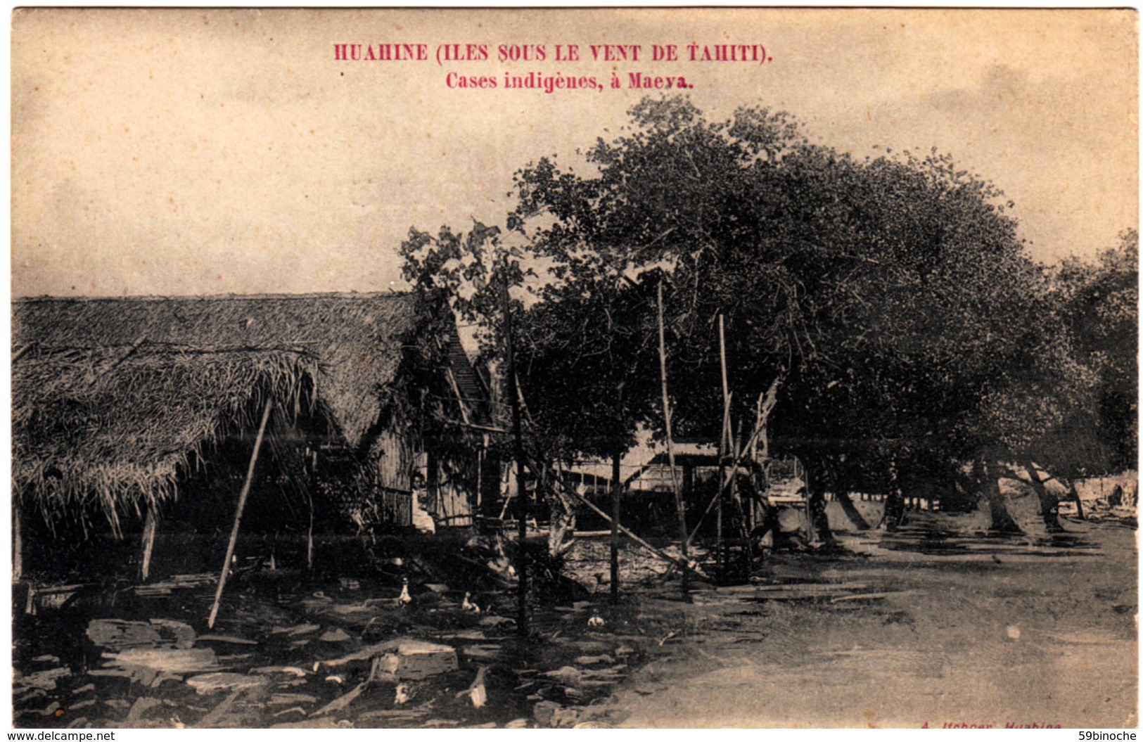 Huhaine. Iles Sous Le Vent. Cases Indigènes à Maeva - Tahiti