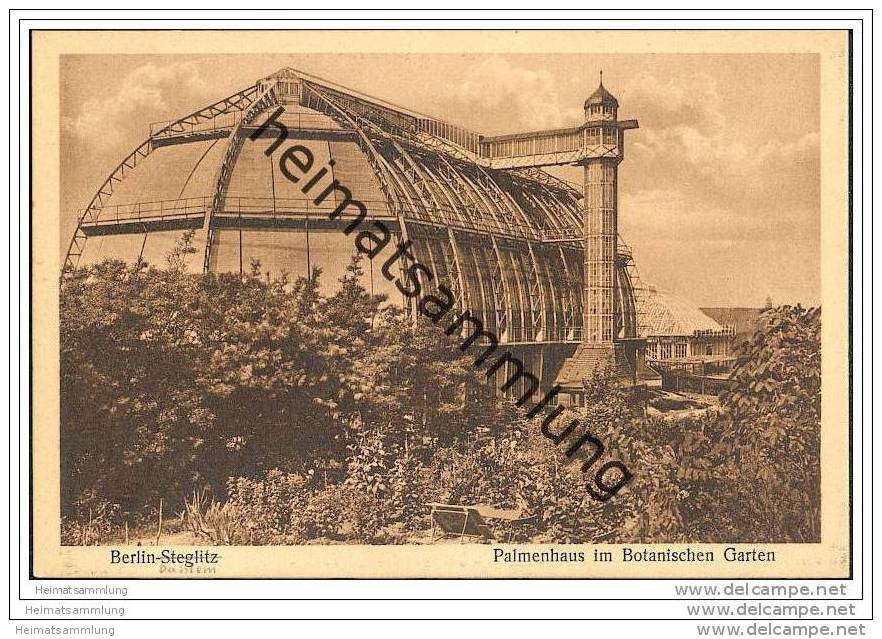 Berlin-Dahlem - Botanischer Garten - Palmenhaus - Ca. 1930 - Dahlem