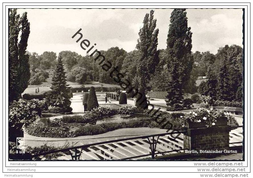 Berlin-Dahlem - Botanischer Garten - Foto-AK 50er Jahre - Dahlem