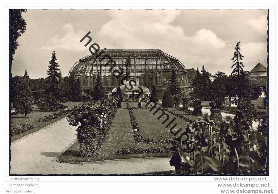 Berlin-Dahlem - Botanischer Garten - Foto-AK 50er Jahre - Dahlem