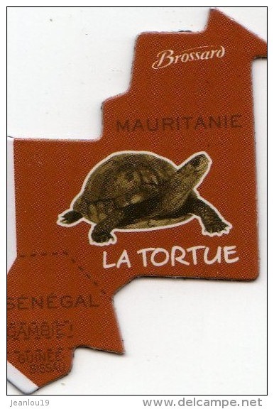 MAGNETS    PUBLICITEE   BROSSARD SAVANNE   L'AFRIQUE    LA TORTUE - Animals & Fauna