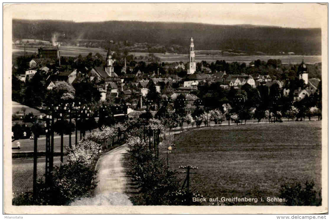 Blick Auf Greiffenberg In Schlesien (2914) * 1931 - Polen