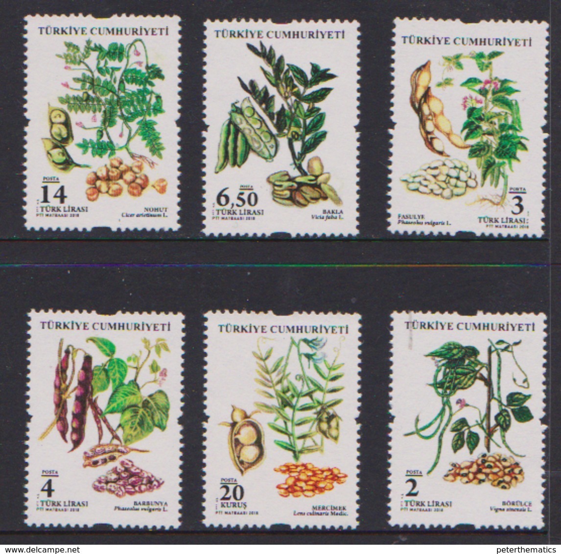 TURKEY, 2018, MNH, PLANTS, LEGUMES, BEANS, DEFINITIVES,6v - Other & Unclassified