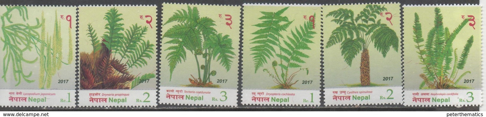 NEPAL, 2017, MNH, PLANTS, FERNS, 6v - Other & Unclassified