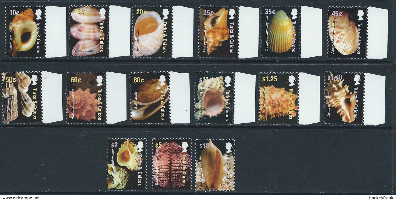 Turks & Caicos Islands 2007 - Shells Set Of 15 SG1850-1864 MNH Cat £36.10 SG2015 - Turks & Caicos (I. Turques Et Caïques)