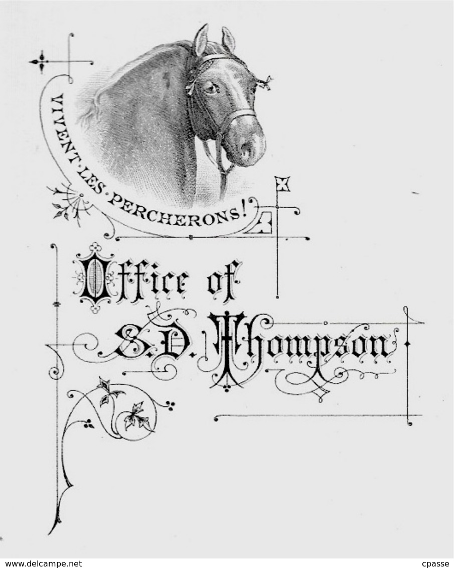 Papier à Lettre Illustré Office Of S.D. THOMPSON "Vivent Les Percherons" * Cheval Percheron ° Stern Graveur Paris - Non Classés