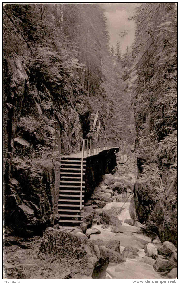 Riesengebirge - Zackelklamm * 19. 4. 1926 - Polen