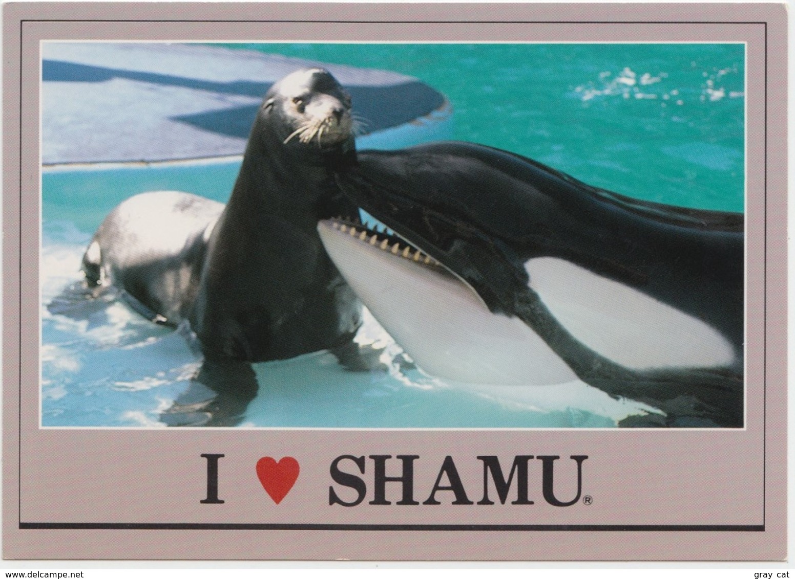 Shamu And Seamore, At Sea World, Unused Postcard [21444] - Autres & Non Classés