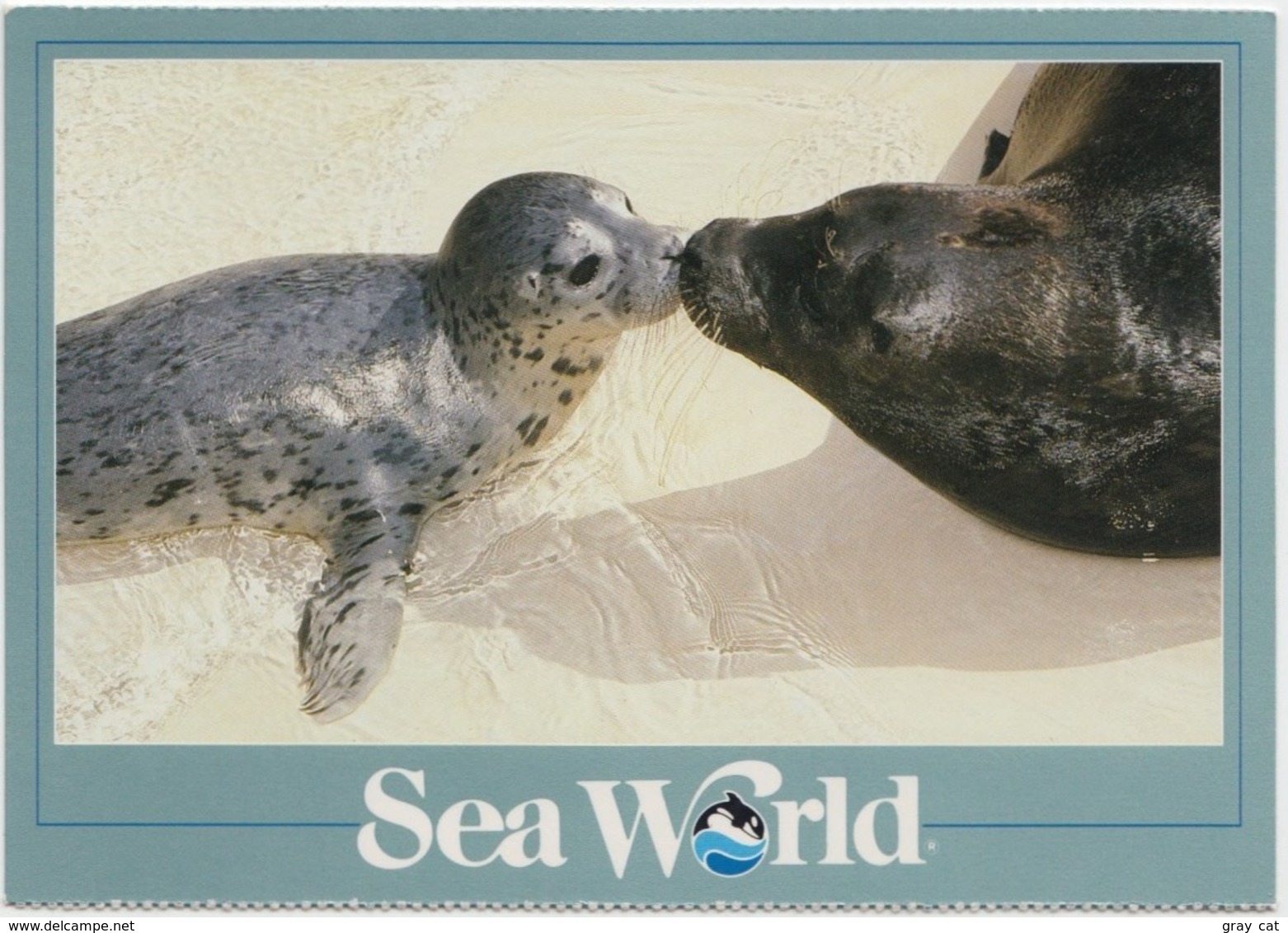 Sea Lion, At Sea World, Unused Postcard [21449] - Autres & Non Classés