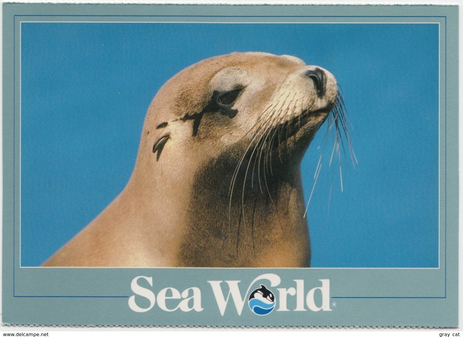 A Sea Lion At The Sea World, Unused Postcard [21450] - Autres & Non Classés