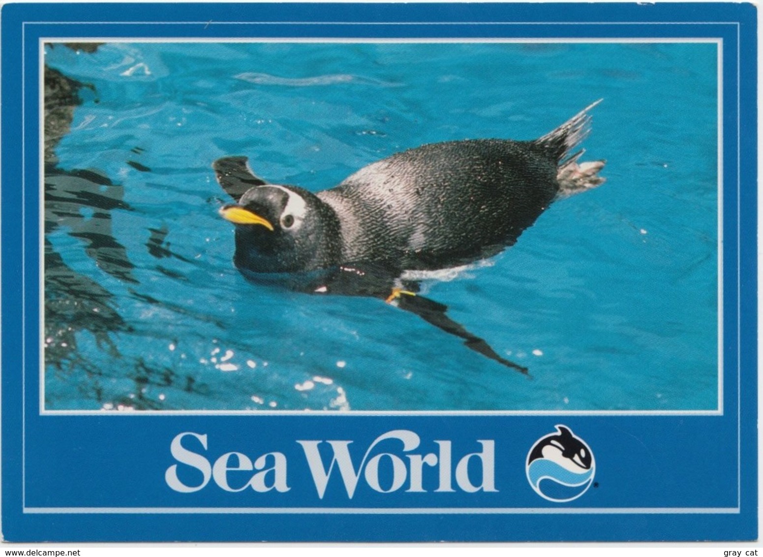 Penguin In The Water At Sea World, Unused Postcard [21452] - Autres & Non Classés