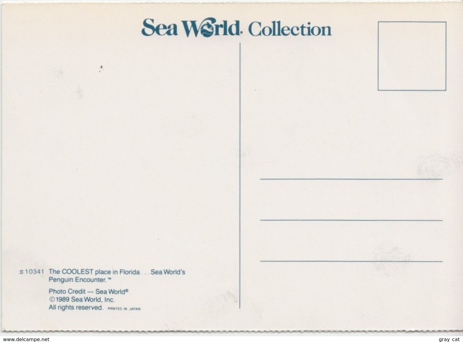 Penguins At Sea World, Florida, Unused Postcard [21453] - Other & Unclassified