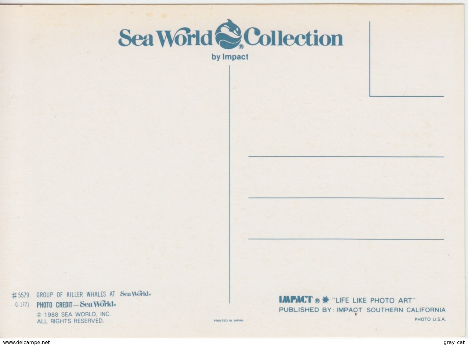 Group Of Killer Whales At Sea World, Unused Postcard [21454] - Other & Unclassified