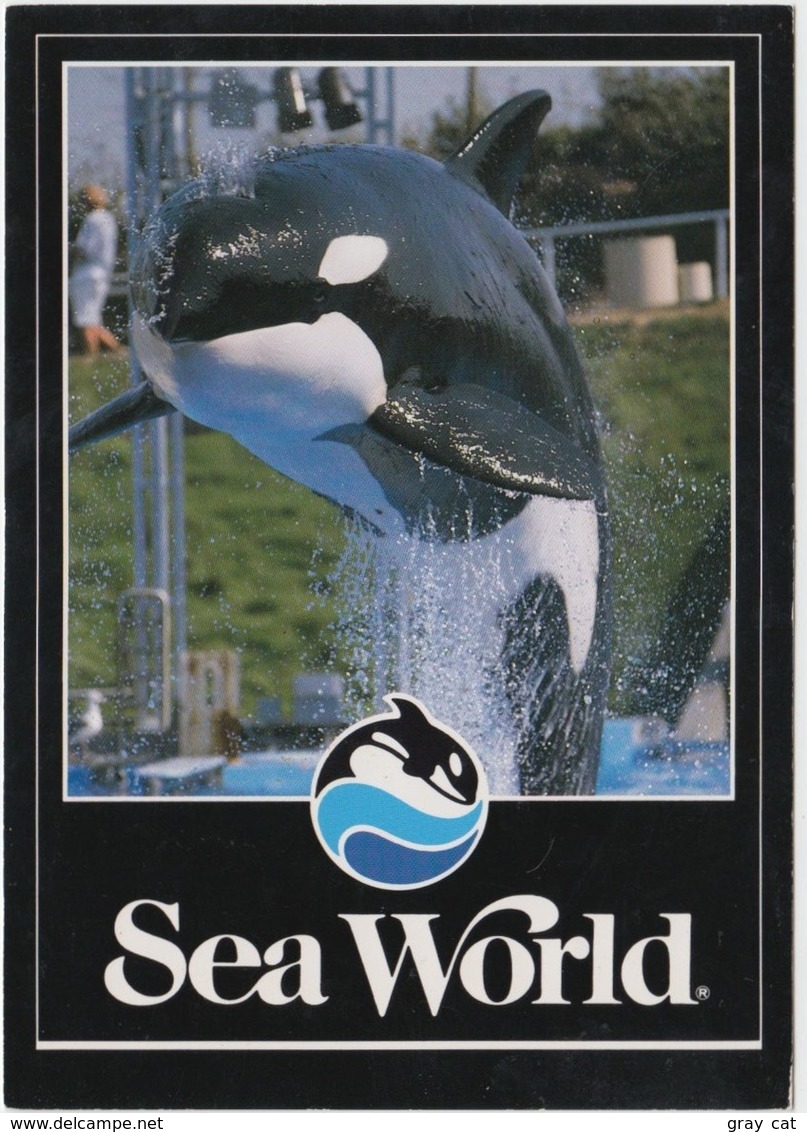 Shamu The Whale, At Sea World, Unused Postcard [21455] - Autres & Non Classés