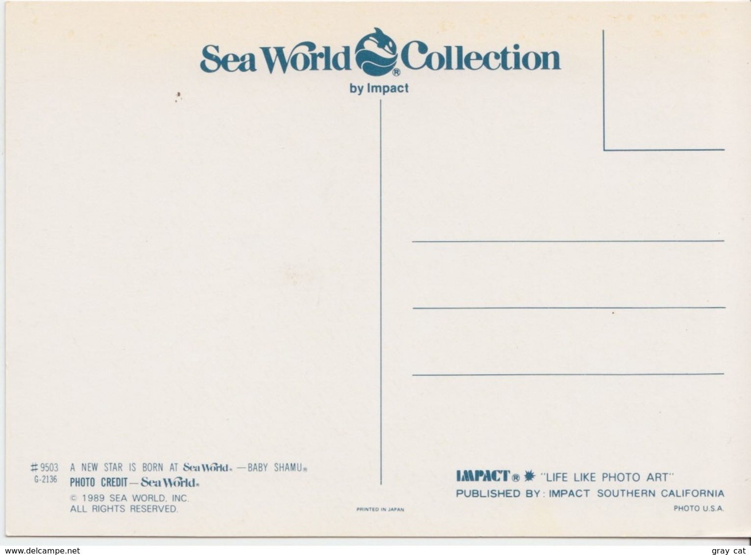 Baby Shamu, Killer Whale, Sea World, Unused Postcard [21457] - Other & Unclassified