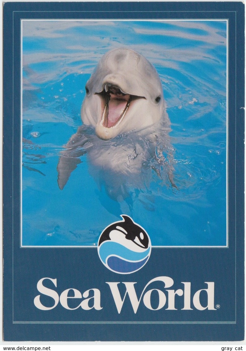 Dolphin At Sea World, Unused Postcard [21458] - Dolphins