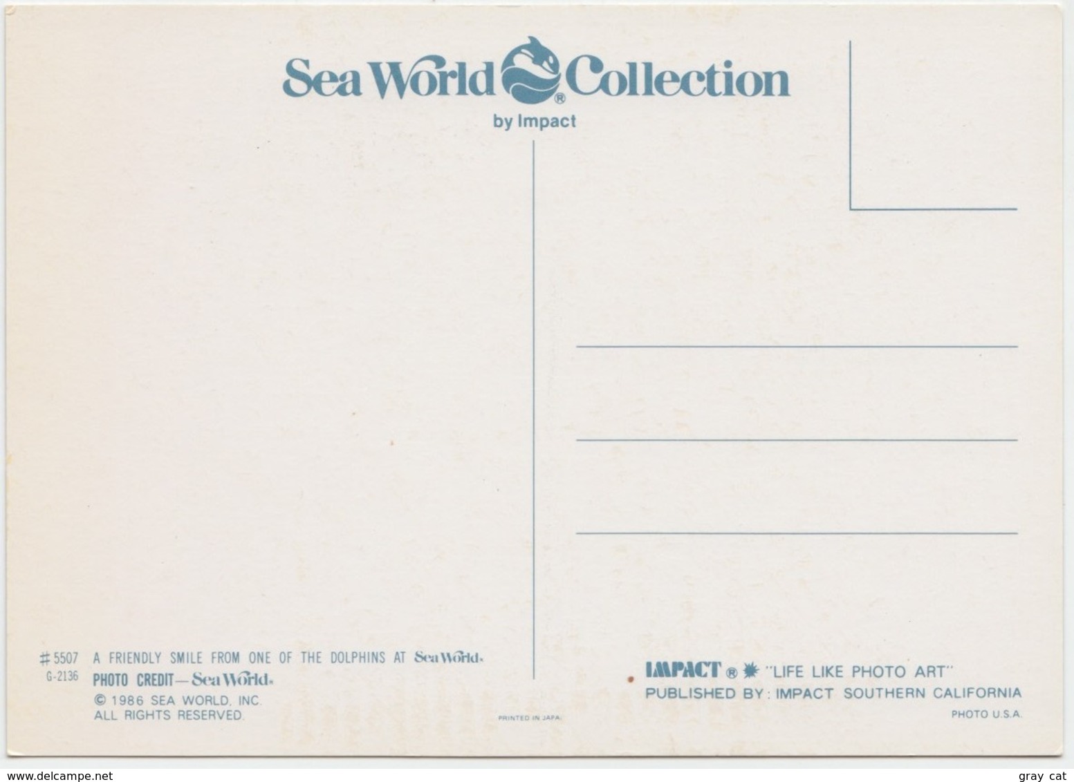 Dolphin At Sea World, Unused Postcard [21458] - Dolphins